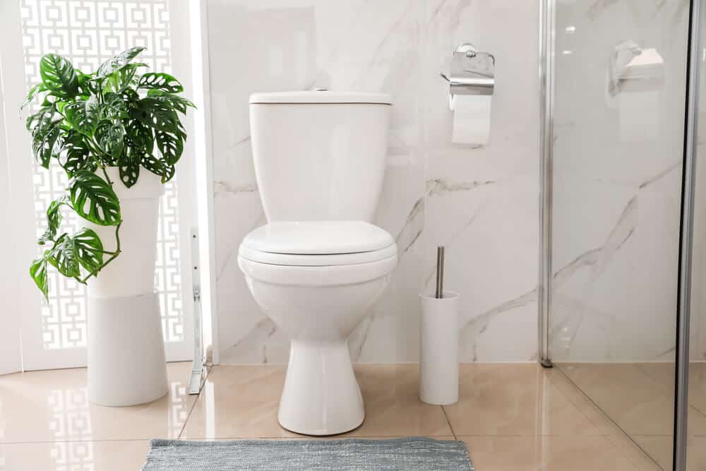 bathroom toilet