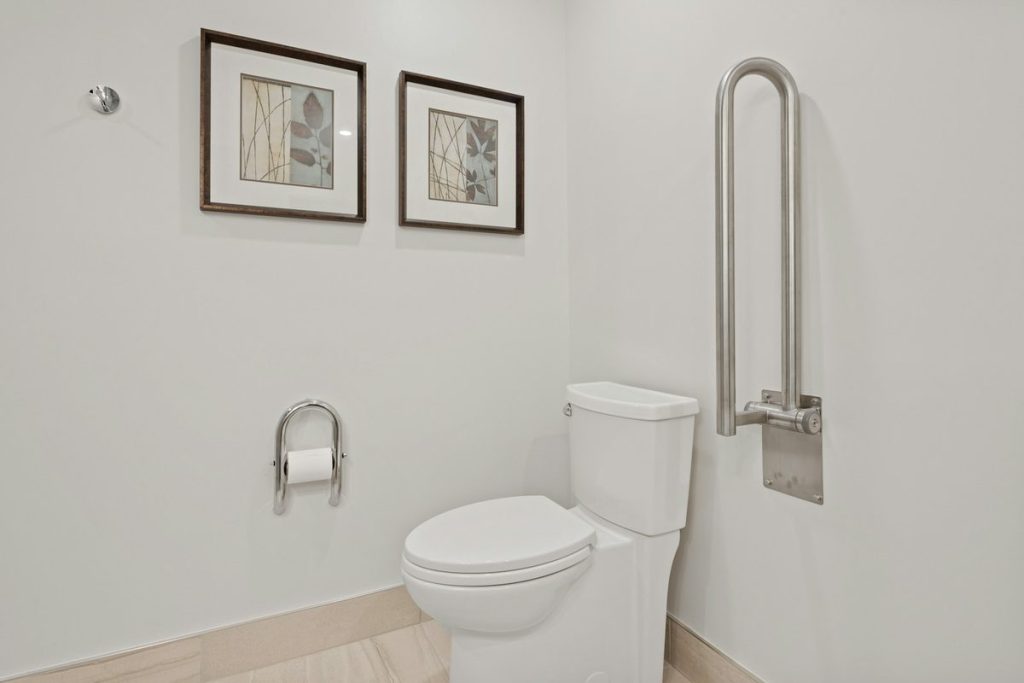 Fold-up grab bar raised against the wall beside a toilet, with a toilet paper holder